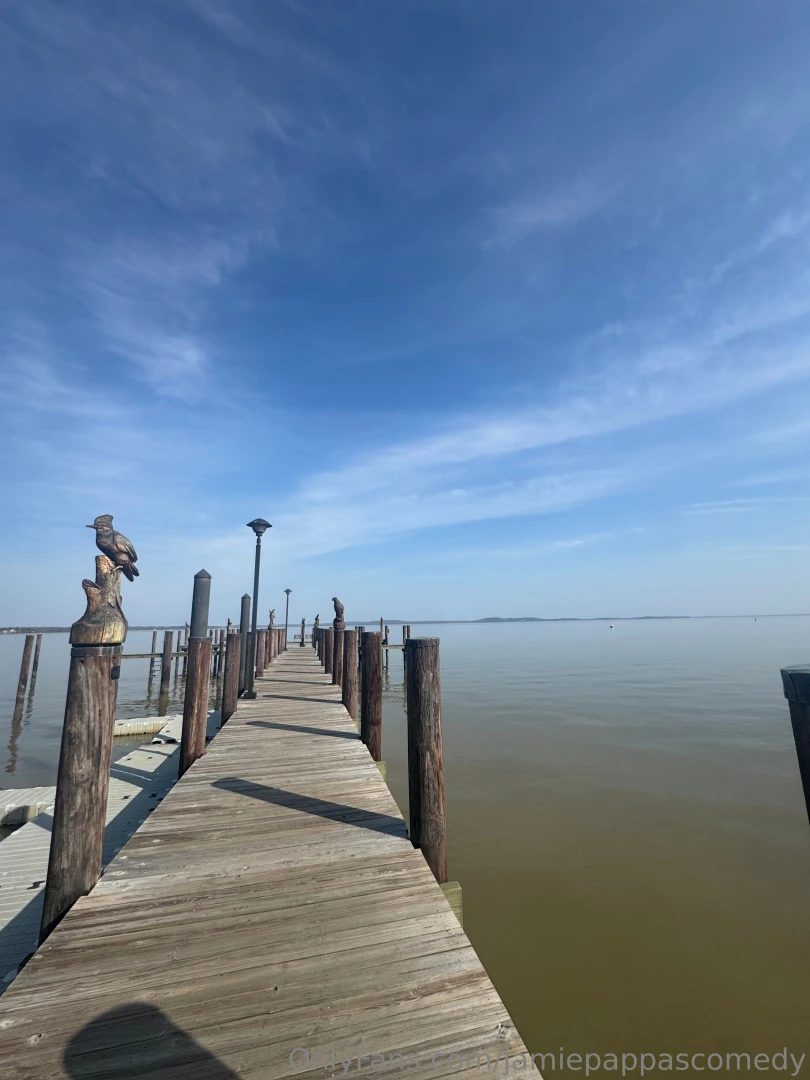 Life recently as always posting way more frequently on gobirdsbabe part 3 