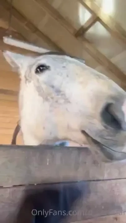 Tell me about your hobbies and yes sometimes without nudes but with my part 1 