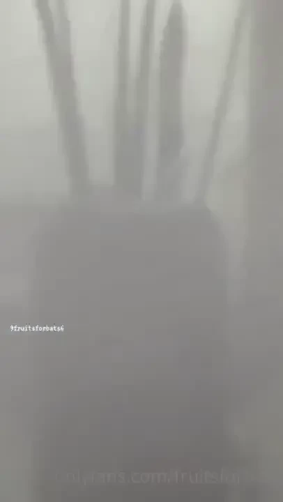 1 - nfsw tiktok 2- blooper 