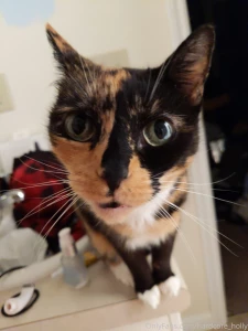 So i did a thing i created a paid of account https onlyfans com