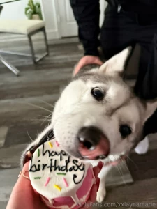 Not very demure but she loved her bday cake