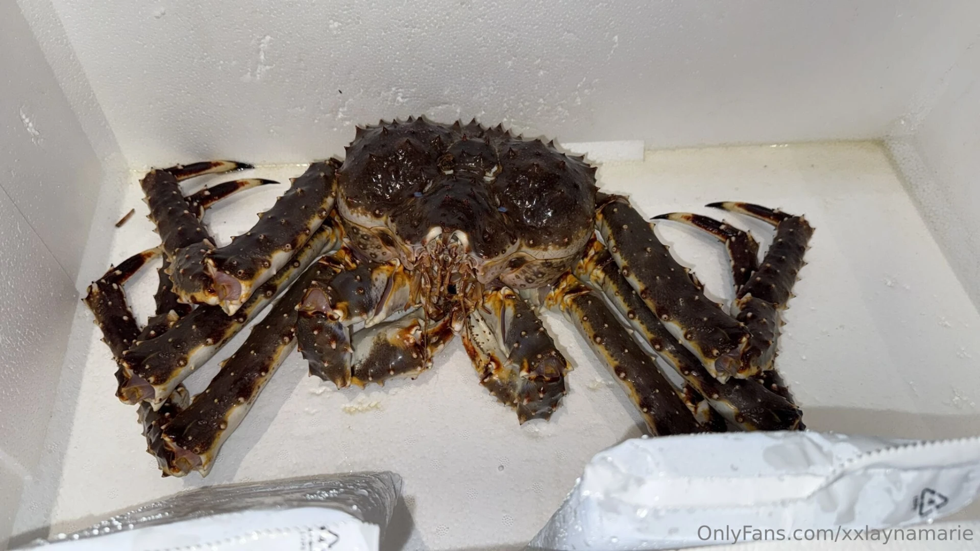 He doesn t even know what s about to happen 