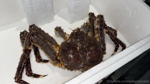 He doesn t even know what s about to happen part 2