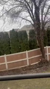 How a cali girl handles the snow no pants on watching the snowfall