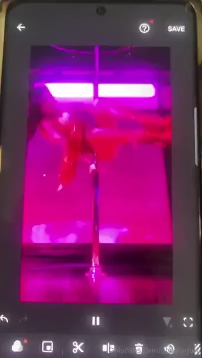 The rotisserie chikim 