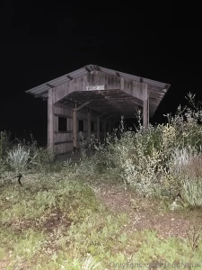 E u p h o r i c n o s t a l g i a