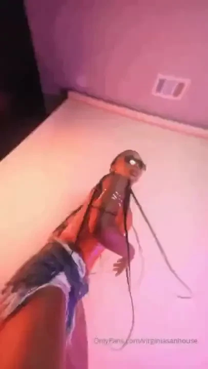 Feeling funky 