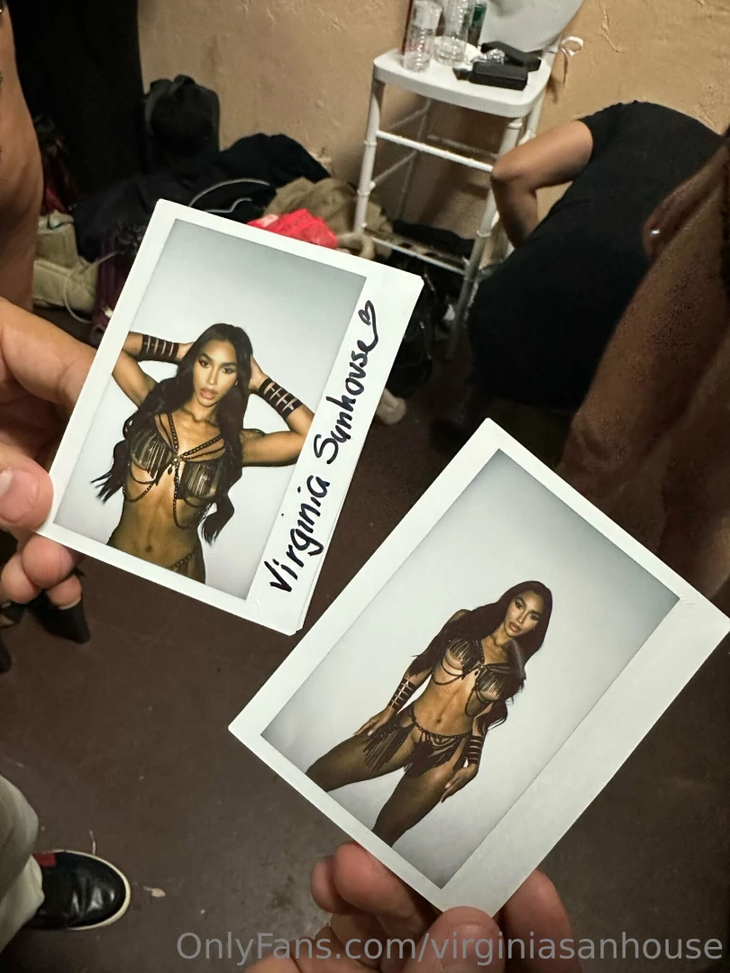 Virginiasanhouse part 11 