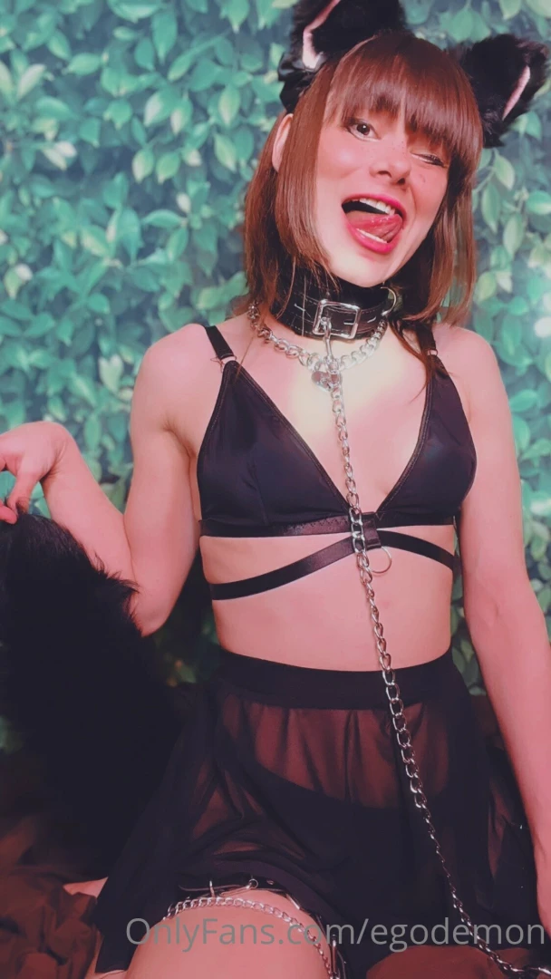 Meow meow meow meow meeeow 