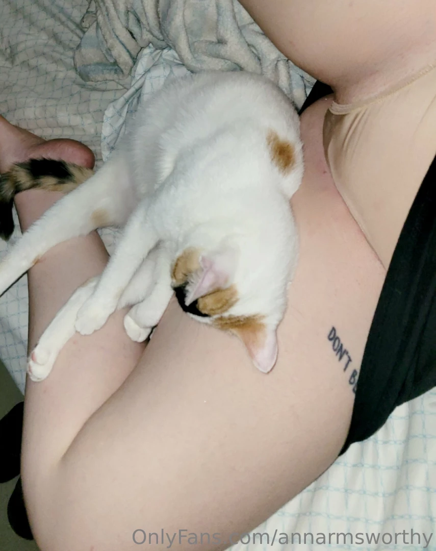 I ve been complaining on all my social media about this cat that i 