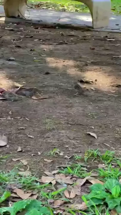 I decided to take a day off relax i drink coffee laying in the park i part 3 