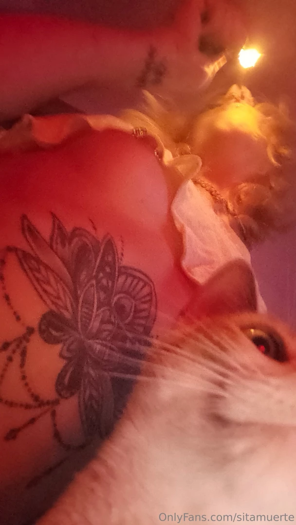 Buenas noches estoy un poco desaparecida ltimamente esque he empezado 