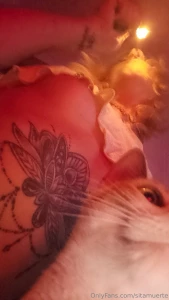 Buenas noches estoy un poco desaparecida ltimamente esque he empezado