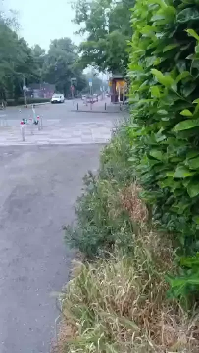 After the csd we were in the dark room where we both came but when the part 1 