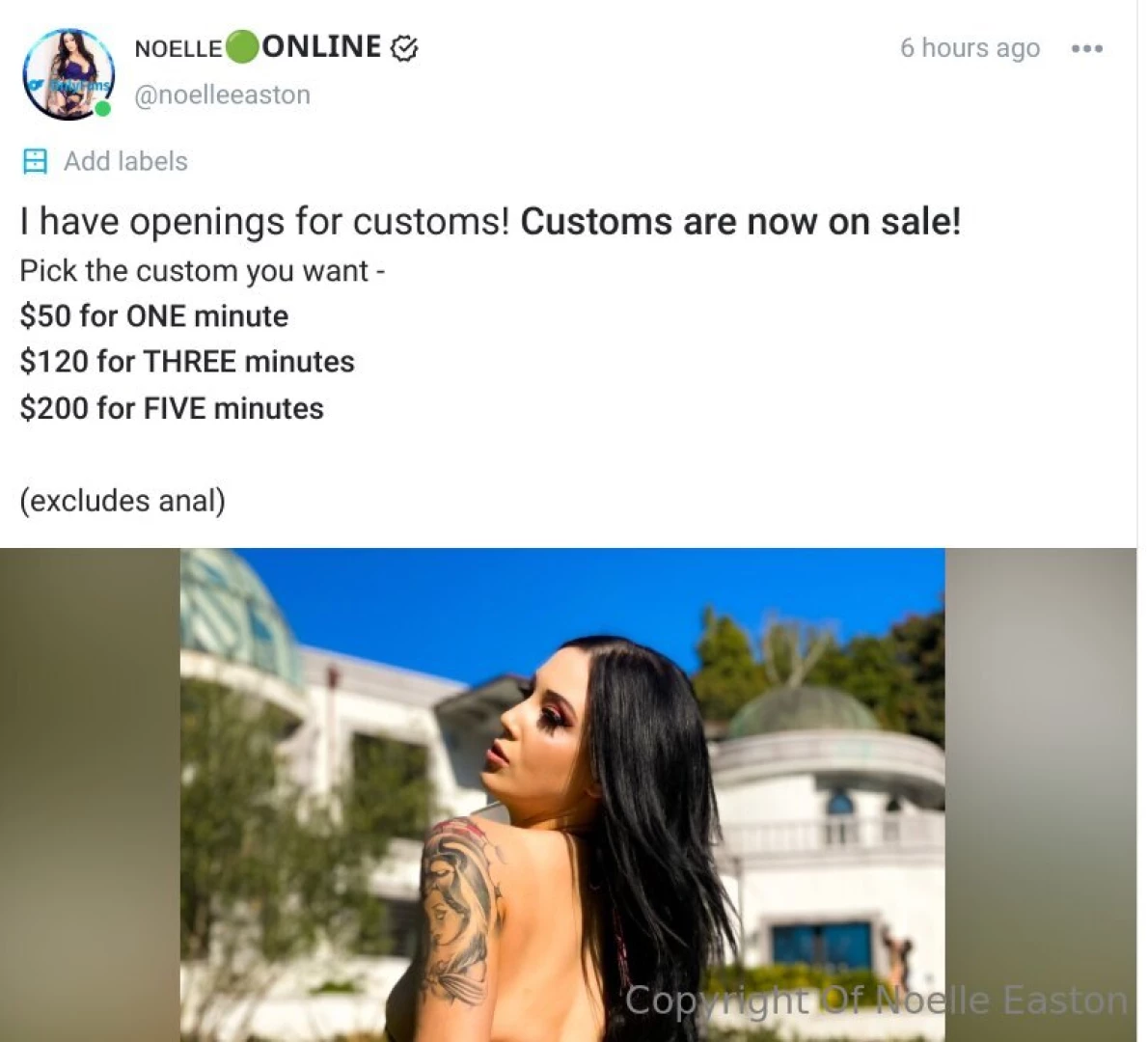 Did you see my custom sale let me make your fantasy custom for you 