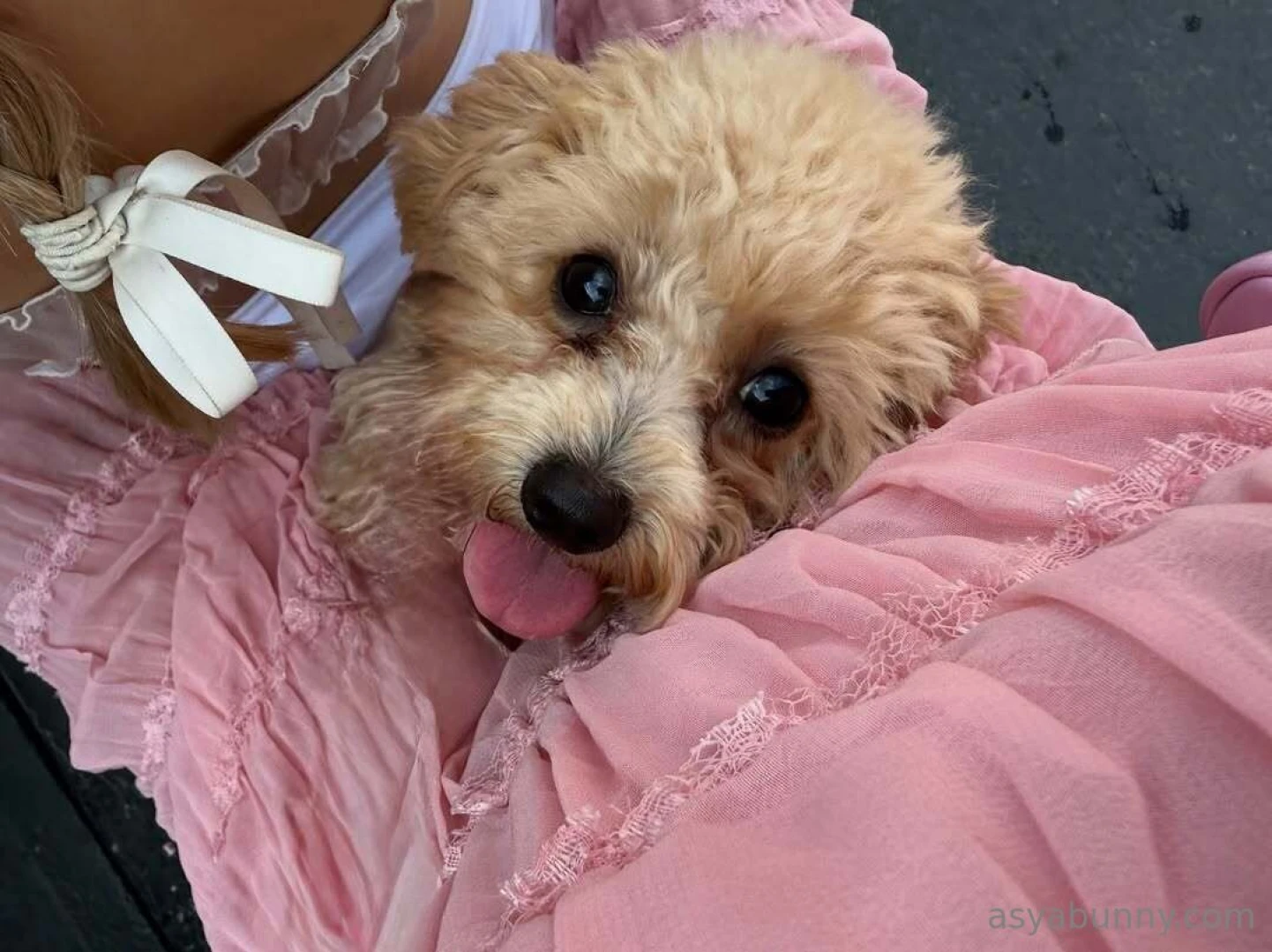 Bali taught me how to breathe again the past few months felt like part 1 