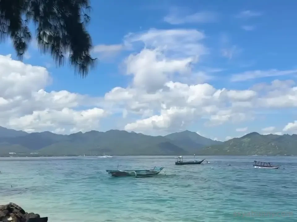 Bali taught me how to breathe again the past few months felt like 