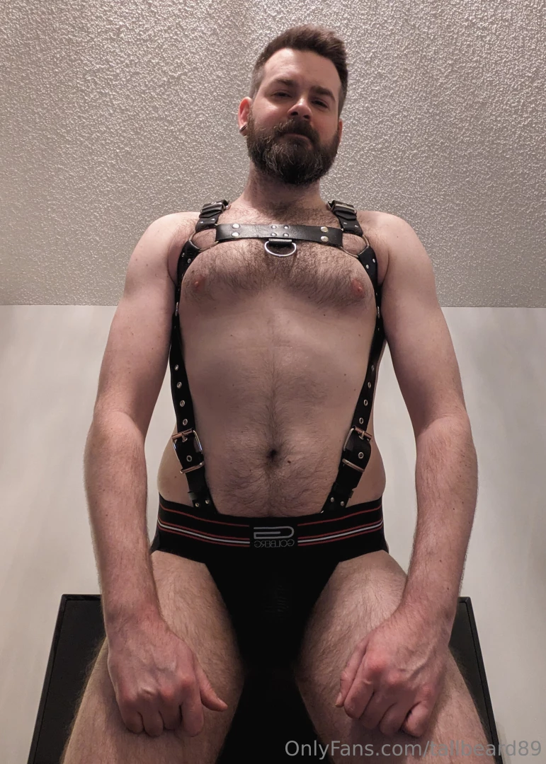 Baby s first harness hide your dads 