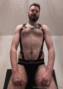 Baby s first harness hide your dads