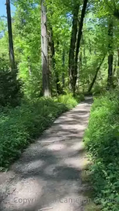 Cameroncanela part 25 