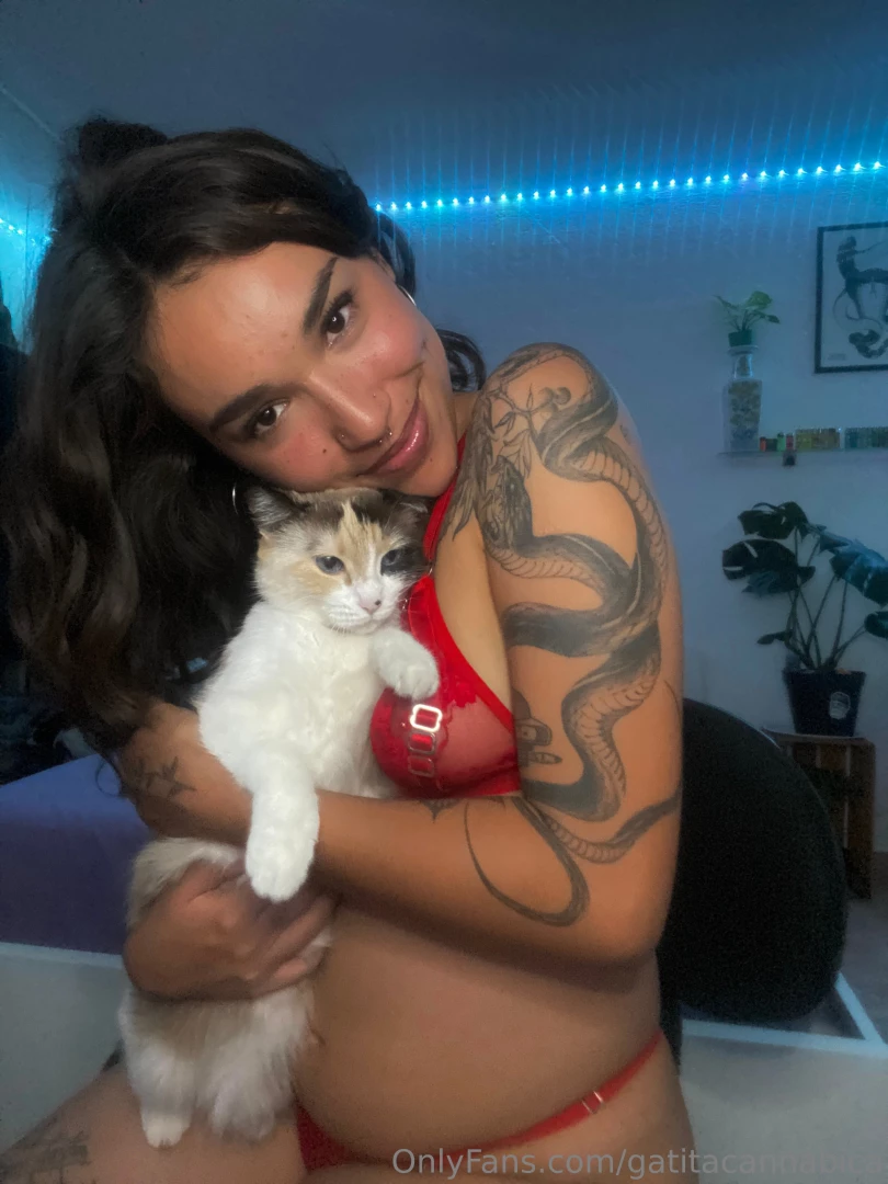 Gatitacannabica part 1 