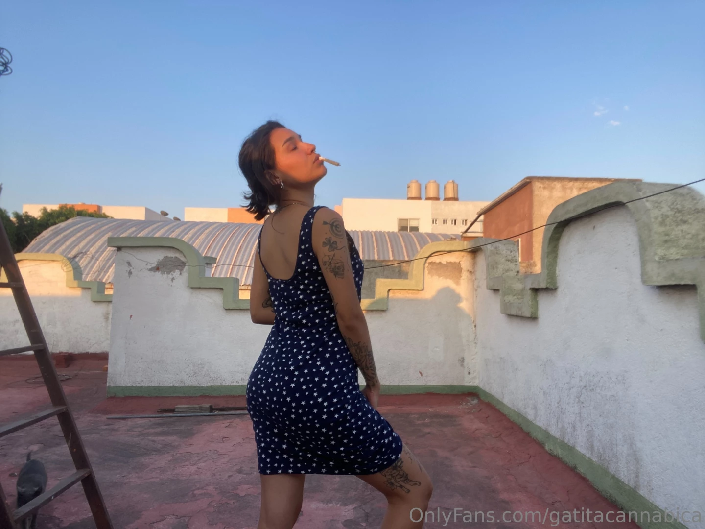 Buenos d as bb te gusta el exhibit part 1 