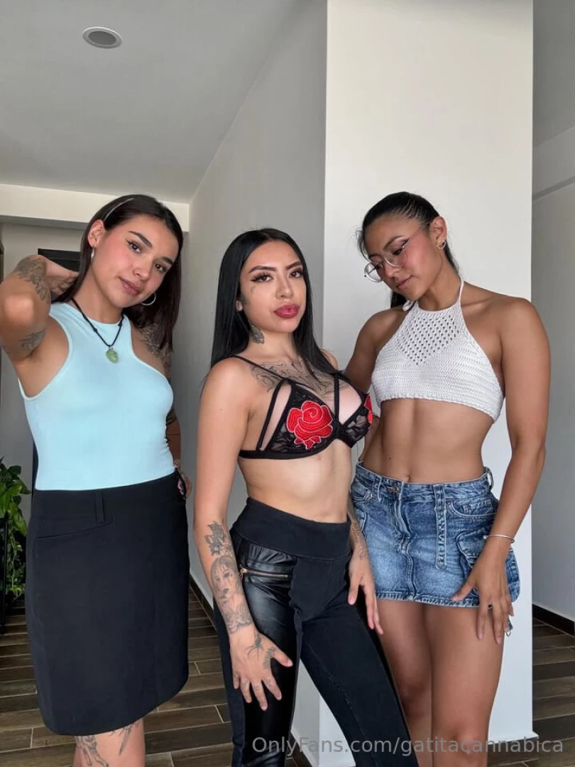 Cual de las 3 te gusta m s 