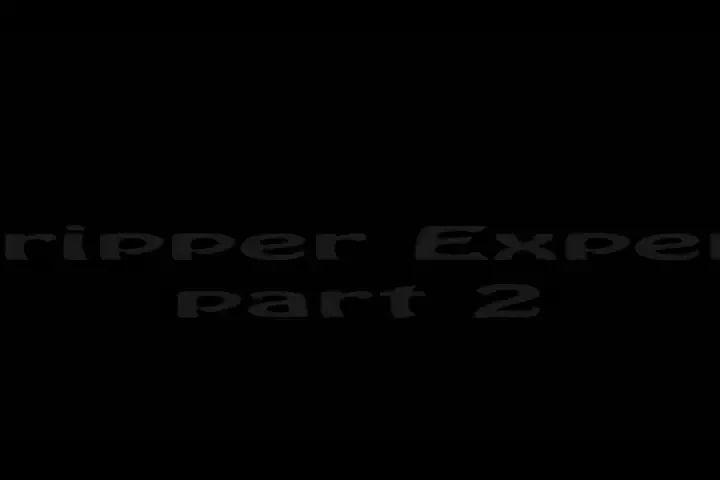 Stripper experience part ii 