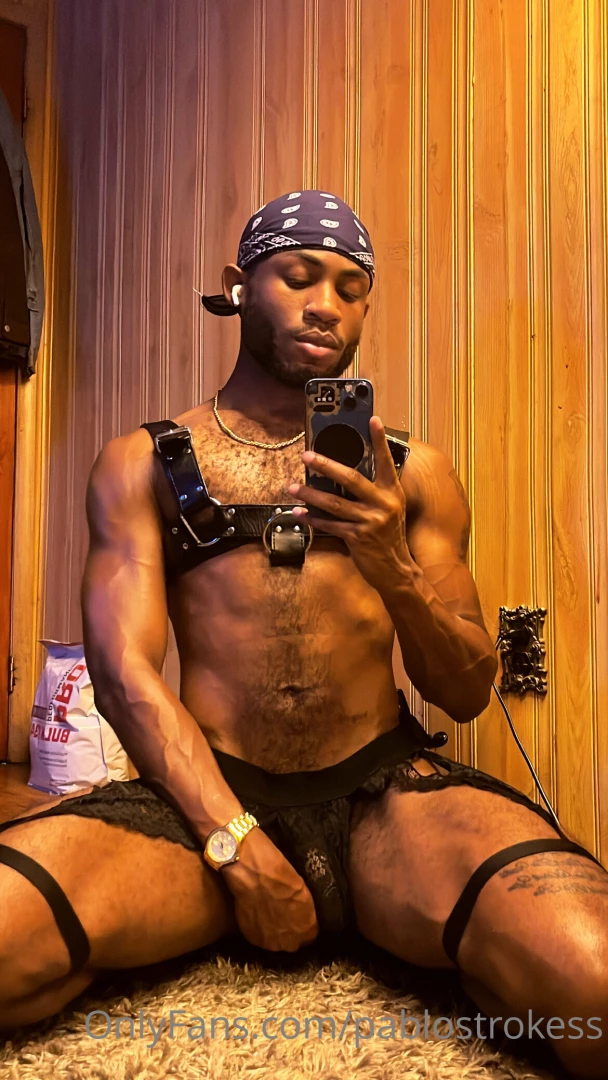 Pablostrokess part 15 