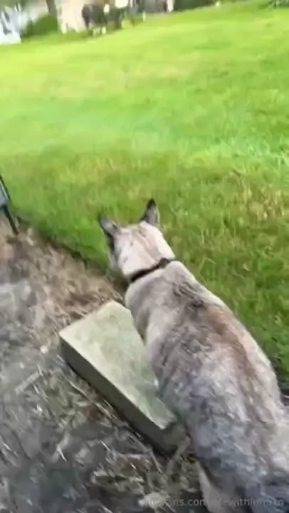 Life with luna my mornings go a little like this happy wednesday side part 7 