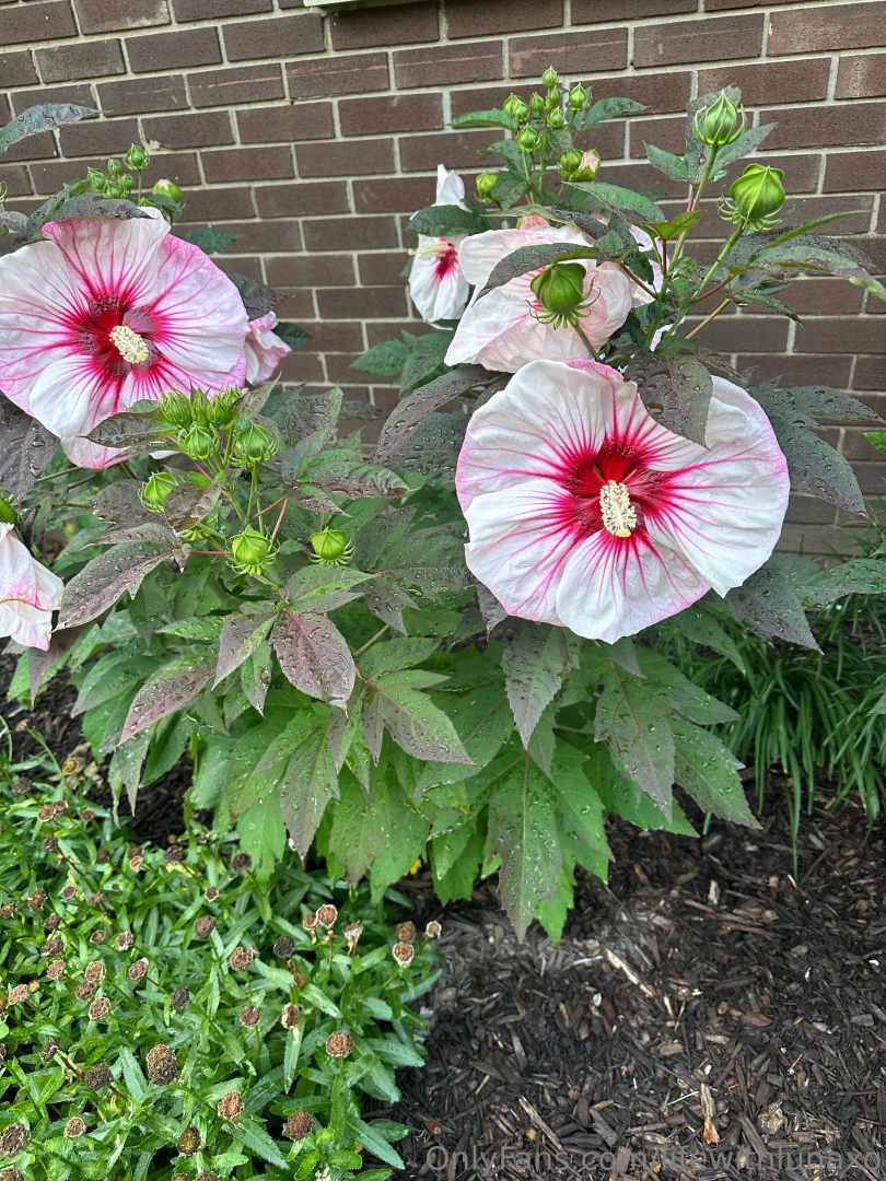 Life with luna my mornings go a little like this happy wednesday side part 3 