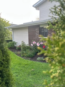 Life with luna my mornings go a little like this happy wednesday side