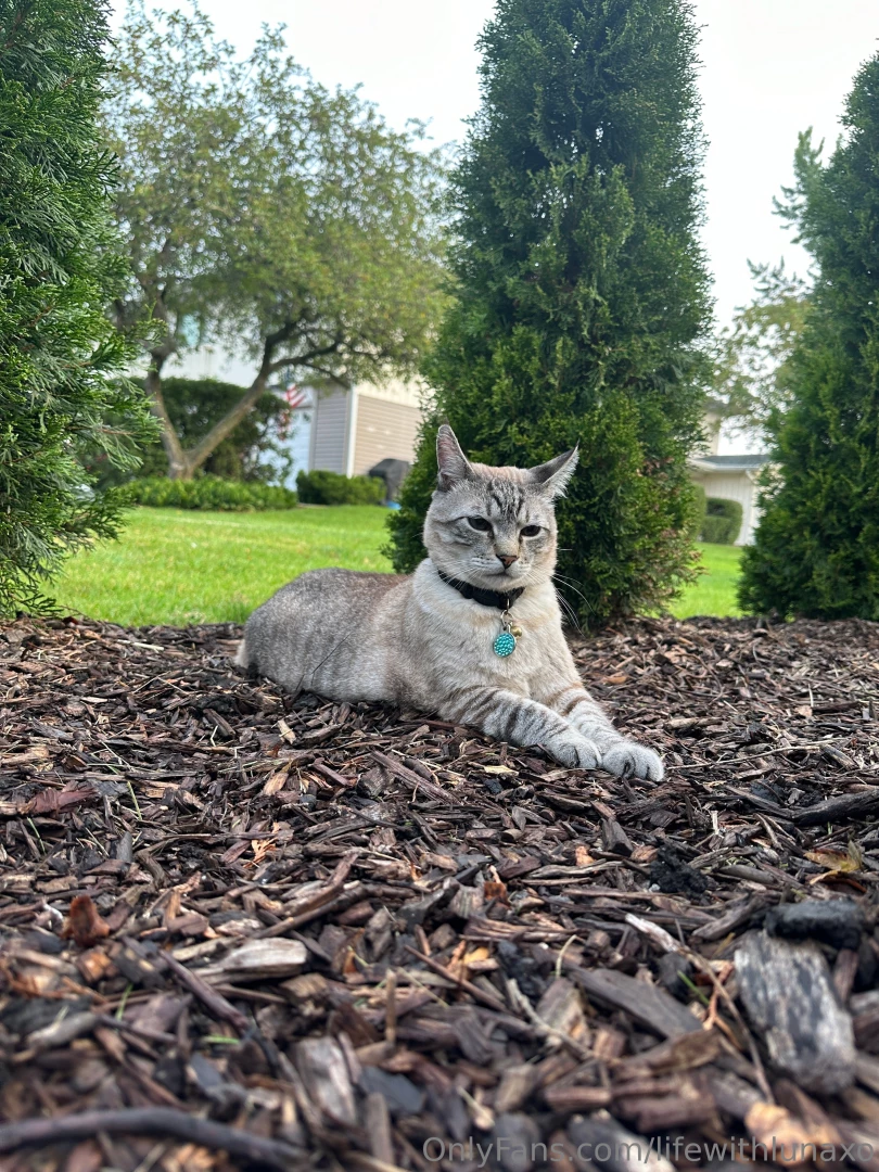 Life with luna my mornings go a little like this happy wednesday side part 4 