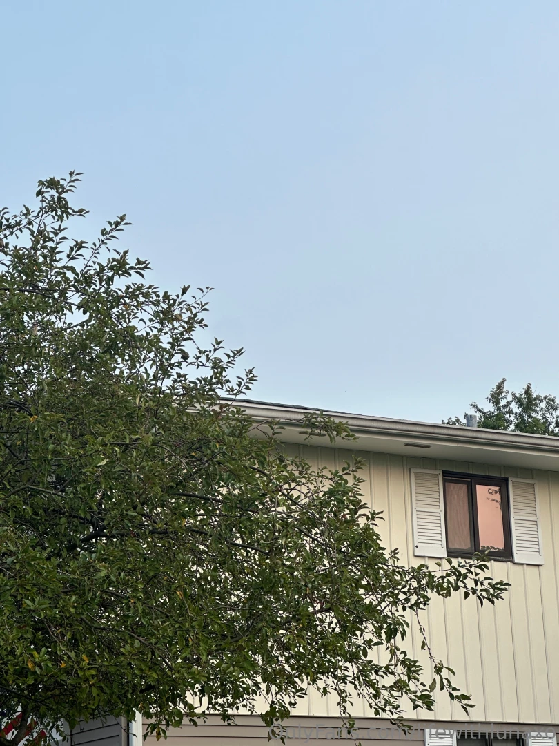 Life with luna my mornings go a little like this happy wednesday side part 5 