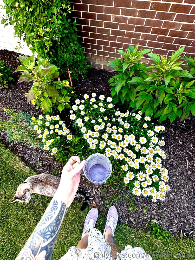 Lifewithlunaxo part 1 