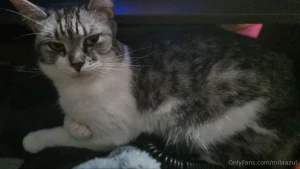 Today my beloved megaera passed away may she rest in piece