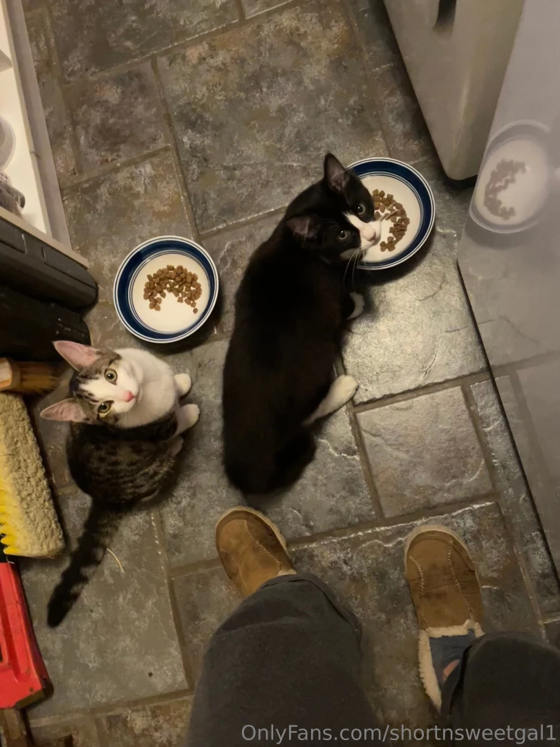 Ok these tiny kittens were outside screaming at my door today they are part 1 