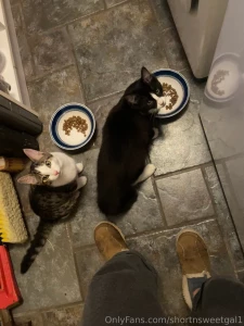 Ok these tiny kittens were outside screaming at my door today they are part 1