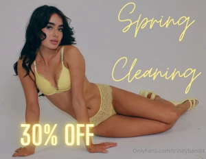 Spring cleaning everyone gets 2 ppvs or wall posts 30 off starting now