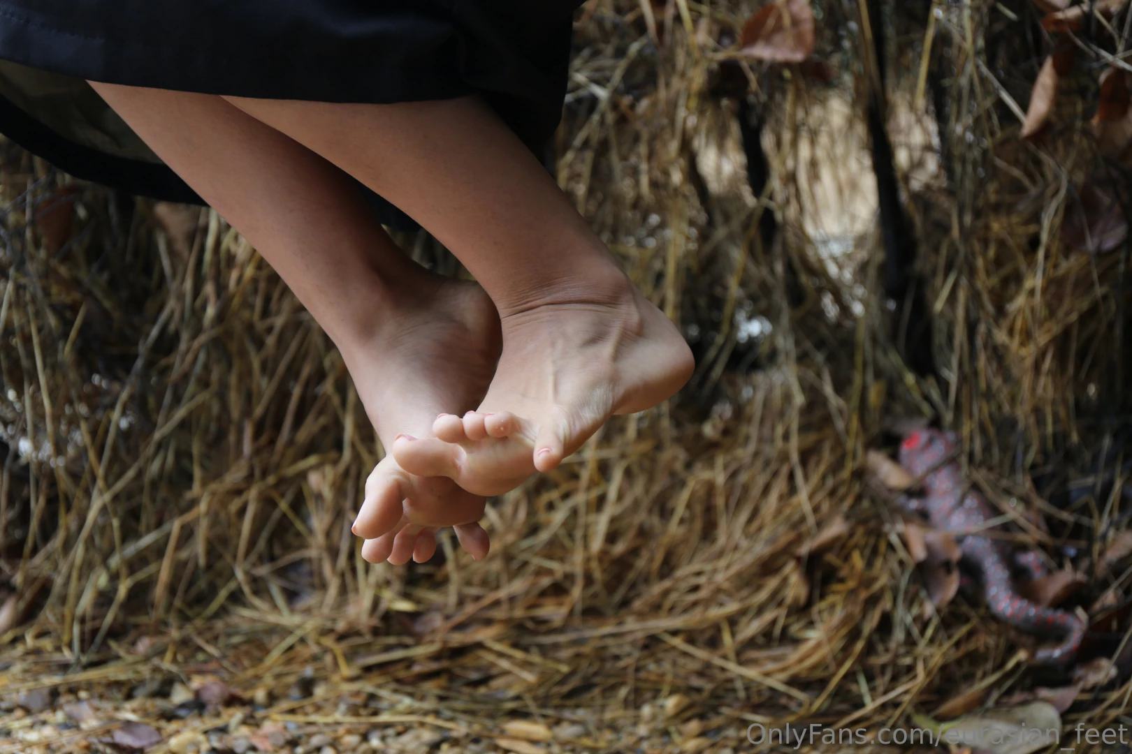 Subscribe to eurasian_feet_vip for more x part 68 