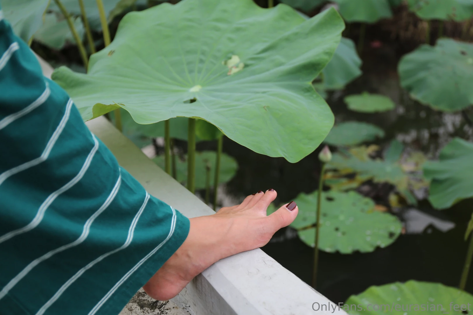 Subscribe to eurasian_feet_vip for more x part 20 