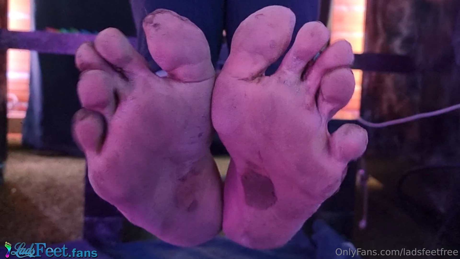 When i come home from a barefoot hike you can live under my desk and 