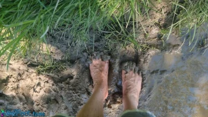 I went for a barefoot walk in the countryside getting some fresh air