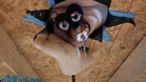 This was a fun new experiment i am face down on the table in the