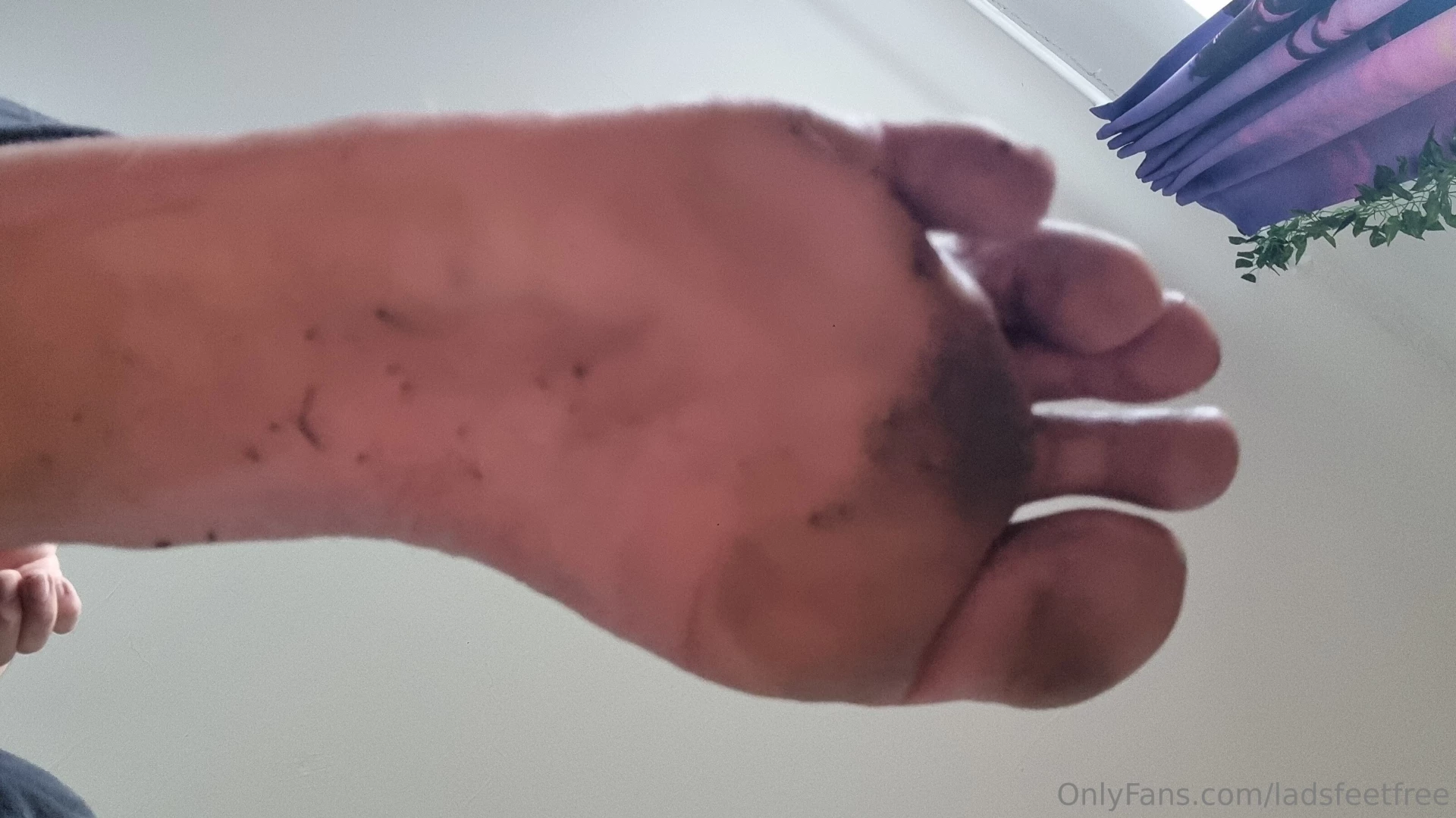 I was working in the barn today getting ready for the coming winter my 