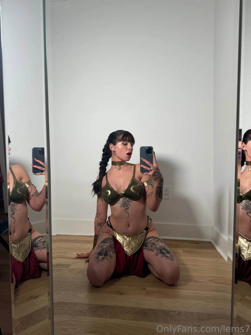 Princess leia is looking for a han solo that wants to stick his light part 1 