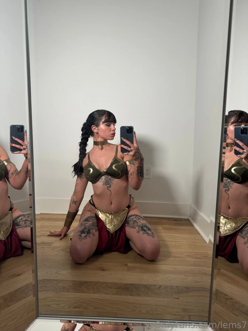 Princess leia is looking for a han solo that wants to stick his light part 2 