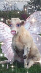 Blaaaahhhh love yall well most of yall lol