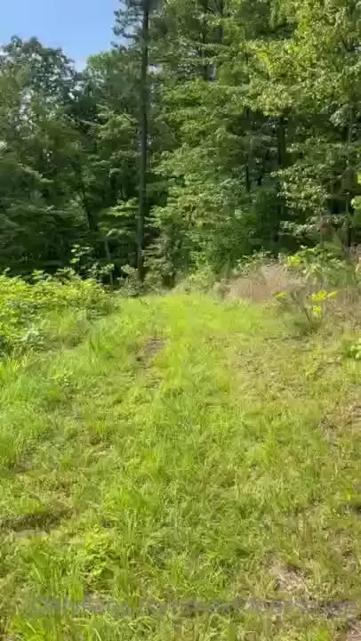 A quick chatty chat from the hiking trail i bet you didn t know how 