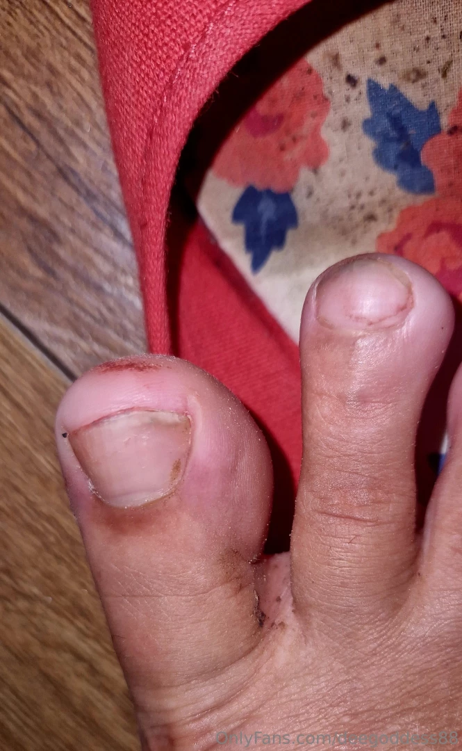 Plew well i don t know about you lot but i ve had the day from hell part 2 